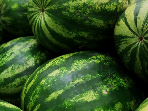  1001 Траг - Чува јана лубенице - Вера Ивковић 