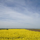 Фолдер Србија: Војводина 