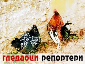 Гледаоци репортери (28. новембар 2022)