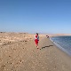 Пут без путовања: Од Занзибара до Саудијске Арабије (реприза)