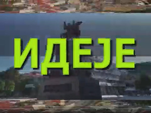ИДЕЈЕ: Зебрица опоравља људско срце