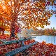 Ритам раног јутра