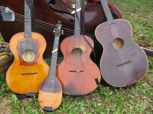 Тамбурица златна жица 