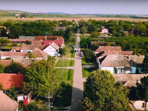  1001 Траг - У Новом Саду - Зоран Гајић 