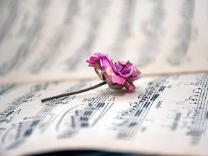 	Променада - Хит парада 1979.