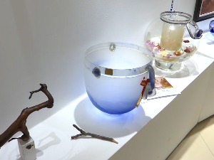 Књига о стаклу јединственог дизајна