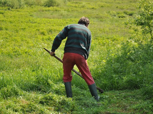  1001 Траг - Коси тата, косим ја - Добривоје Топаловић 