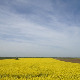 Фолдер Србија: Туршија
