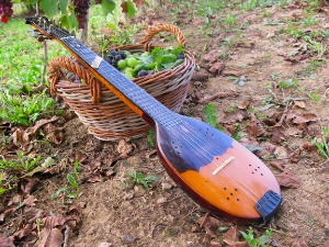 	Свирај свирче - тамбурица 