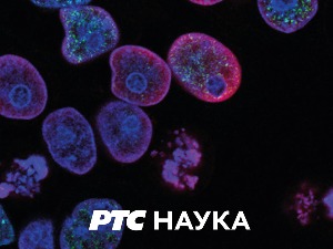 Траг у простору:	 Прича о седам Дунава