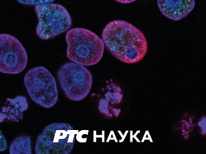 Археокухиња:	 Винчански доручак