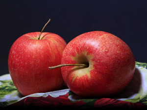  1001 Траг - Обране су јабуке румене - Гордана Стојићевић 