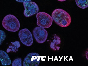 РТС ЛАБ:	 Школа будућности