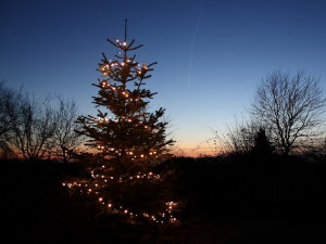  У рану зору 