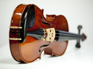 Свирај свирче - виолина 