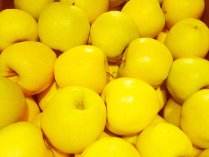  Од злата јабука - Српска Нова година 