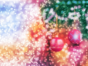  Бећарски дивани 