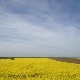 	Фолдер Србија: Стрина