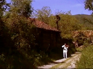  1001 Траг - Циганска туга - Момчило Станојевић 