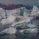 Фосили открили мистериозне рођаке примата који су давно живели на Арктику, добили име Игњације