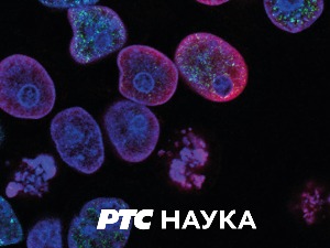 Прво и најстарије, 9. епизода