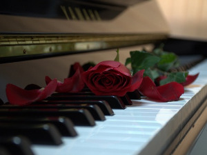 	Свирај свирче - клавир 