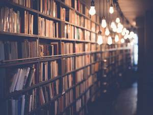 Томислав Брлек: Ангажман у приповедној форми