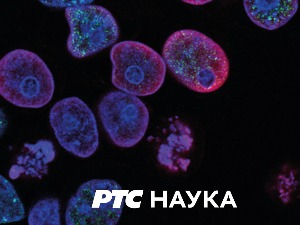 Привреда заснована на еколошкој свести:  Змајева школа – бели лотус у Ладаку