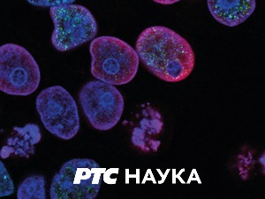 Зелени рај:  Дуж реке Меконг