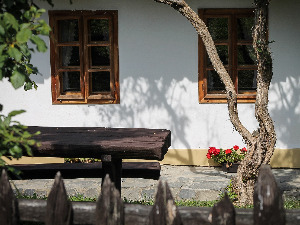  1001 Траг - Русе косе - Гордана Лазаревић 