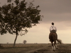  1001 Траг - Болујем ја - Дубравка Нешовић 