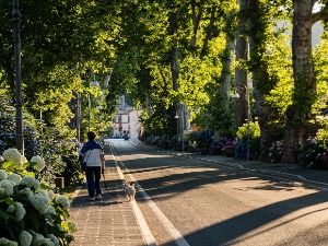 Зеленило у градовима –  за дужи и квалитетнији живот становника