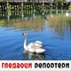 Гледаоци репортери (7. фебруар 2023)