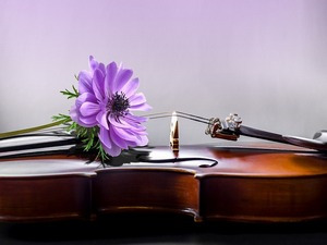 Жене у музици – Гила Бустабо