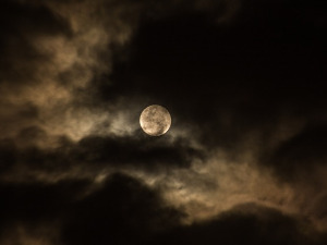  1001 Траг - Ноћ је тија, месечина сија - Звонко Богдан 