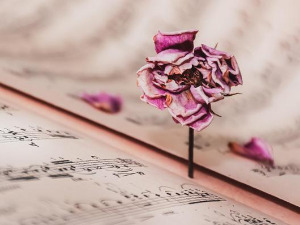 	Променада - Београдски сабор 1970. 