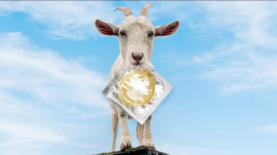 Од козије бешике до латекса: Кратка историја кондома 