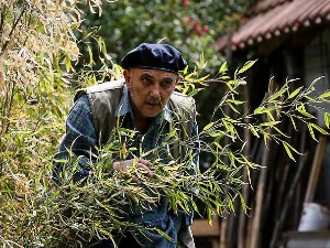 Пси лају ветар носи, 5-11 прва сезона