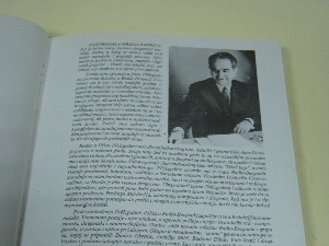 "Разгранала грана јоргована"