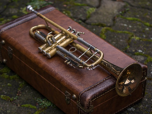 Свирај свирче - труба 