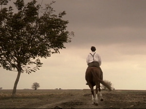  1001 Траг - Заспала си, а ја будан - Звонко Богдан 