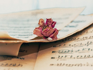 Променада - Јесен 1967.