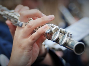 Свирај свирче - флаута