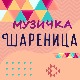 Музичка шареница