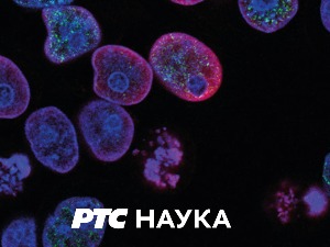 Породична мрежа:	 Изазов је одупрети се изазовима друштвених мрежа